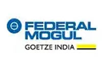 Federal Mogul Goetze (India ) Limited